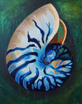 Nautilus